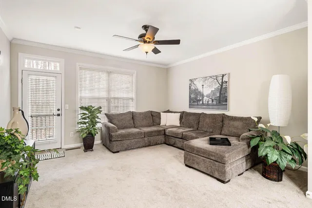 a living room with furniture potted plant and a window