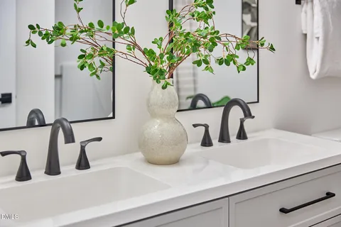 a bathroom sink with a potted plant