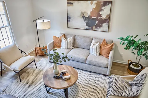 a living room with furniture potted plant and a rug