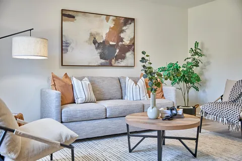 a living room with furniture and a potted plant