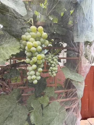 $699,000 | 6598 West 96th Drive, Broomfield, CO 80021