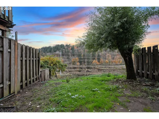 a view of a back yard