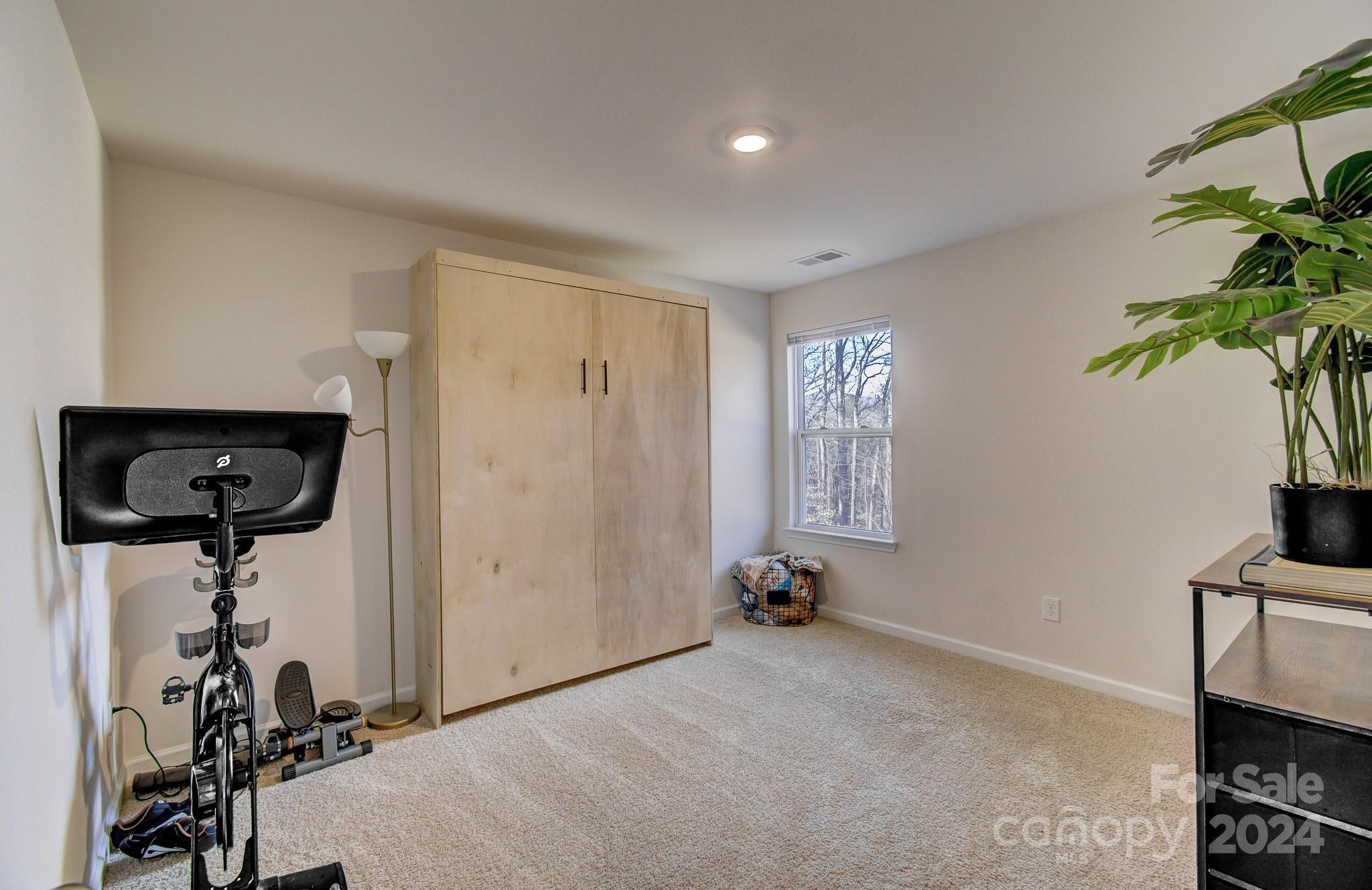 216 Roper Street Candler, NC 28715 - Photo 20 of 29 Gallery Image 20