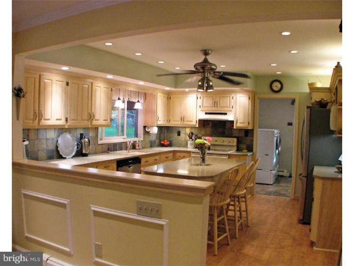 6 Low Road New Hope, PA 18938 - Photo 2 of 13 Kitchen