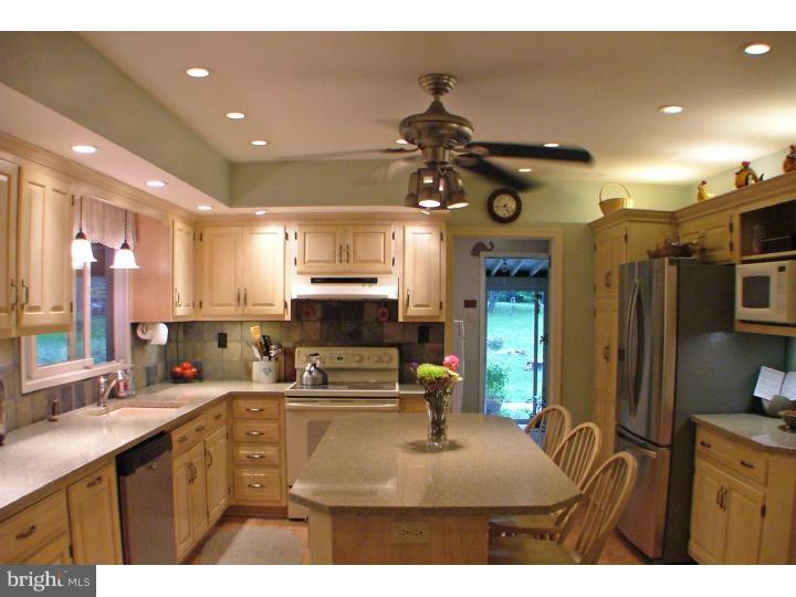 6 Low Road New Hope, PA 18938 - Photo 3 of 13 Kitchen