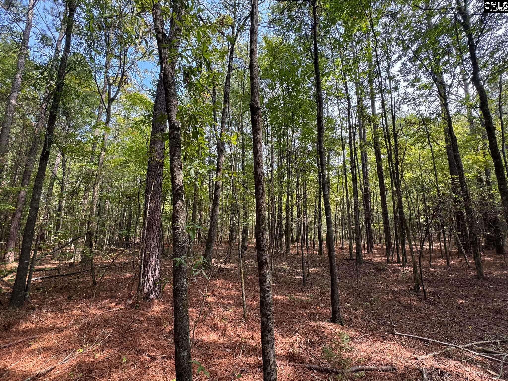 Pencreek Road Johnston, SC 29832 - Photo 58 of 59 Gallery Image 58