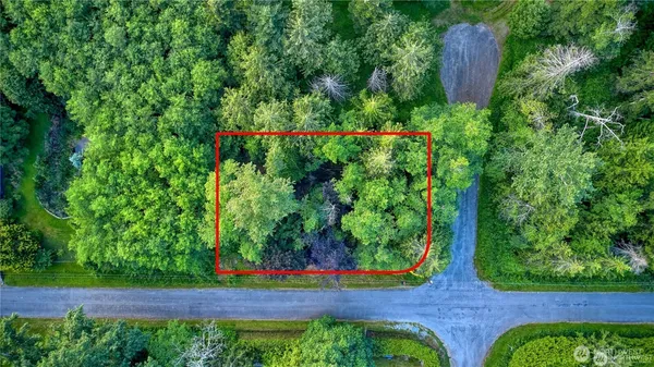 a view of a backyard with plants