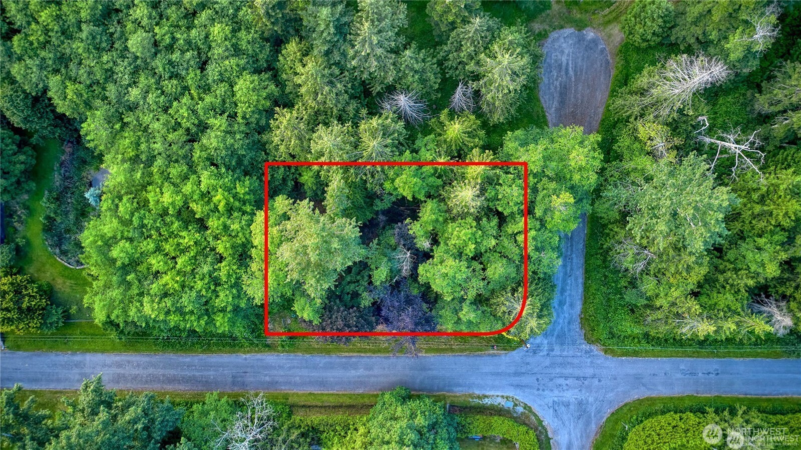 1394 Rex Street Point Roberts, WA 98281 - Photo 1 of 6 a view of a backyard with plants