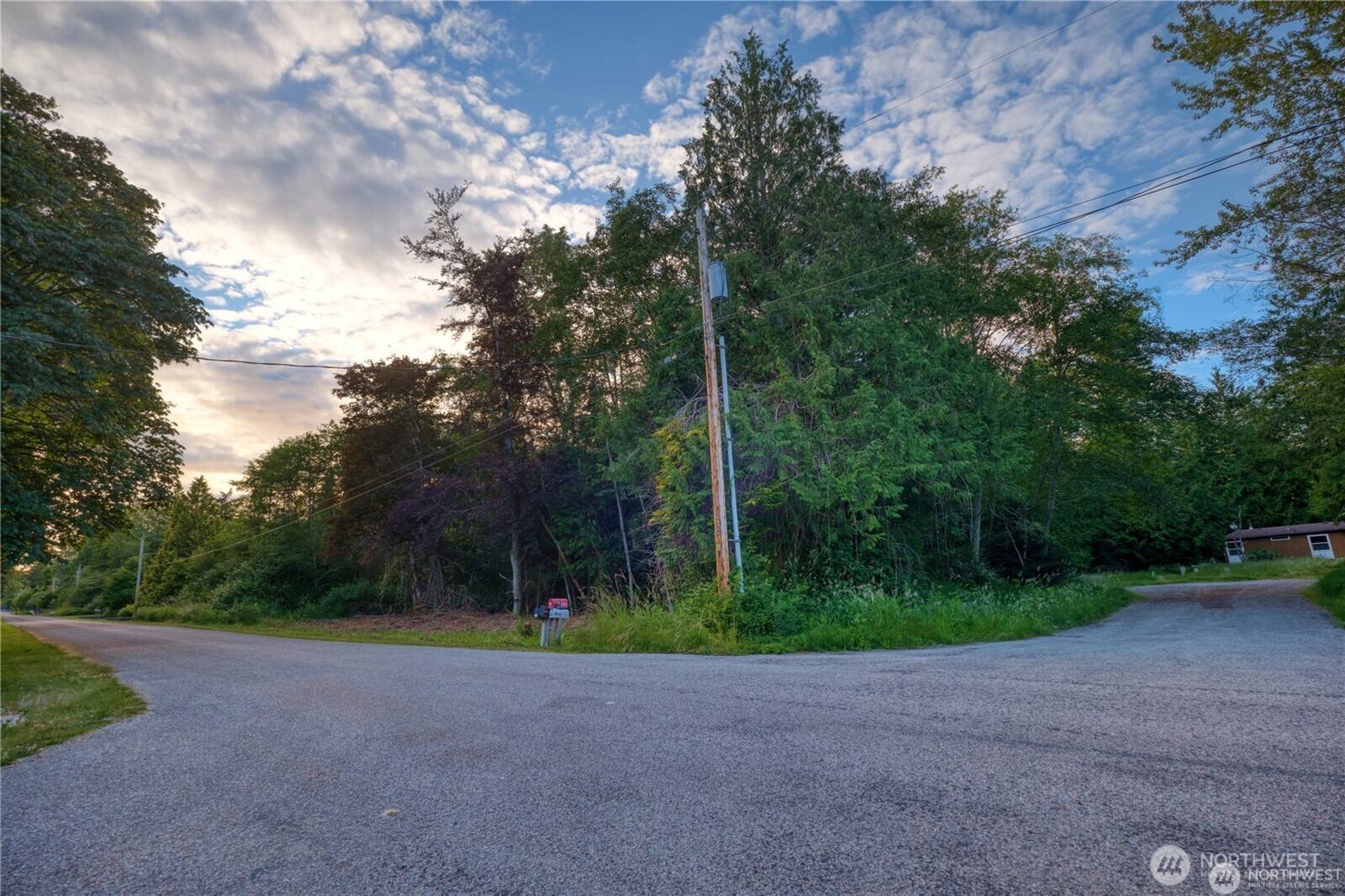 1394 Rex Street Point Roberts, WA 98281 - Photo 3 of 6 a view of a field with plants and trees