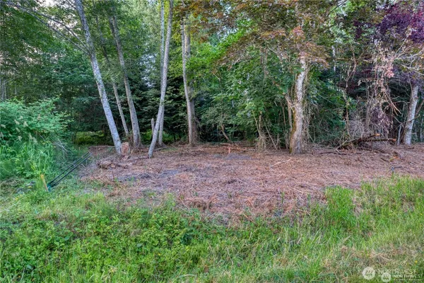 a view of a backyard with trees