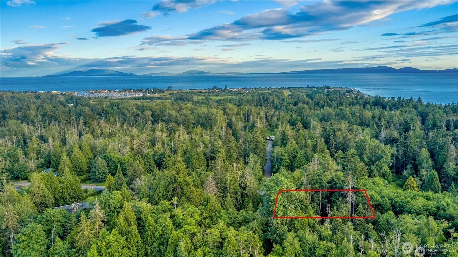 1394 Rex Street Point Roberts, WA 98281 - Photo 6 of 6 a view of a lush green forest with lots of trees
