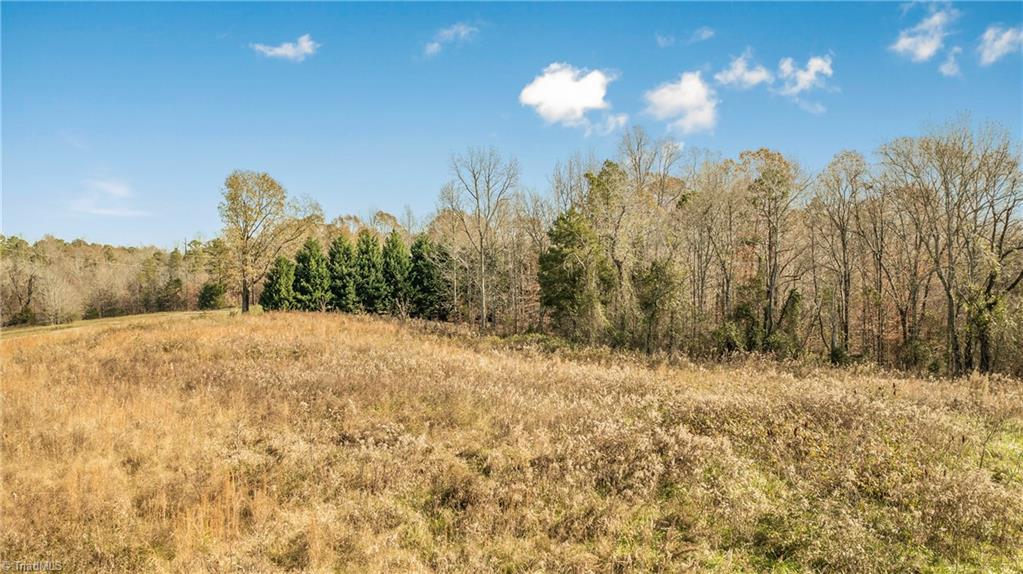 312 Fulton Road Advance, NC 27006 - Photo 14 of 36 Gallery Image 14