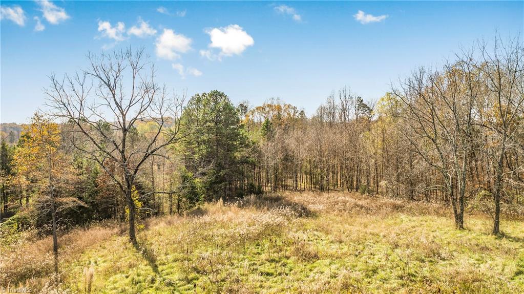 312 Fulton Road Advance, NC 27006 - Photo 17 of 36 Gallery Image 17