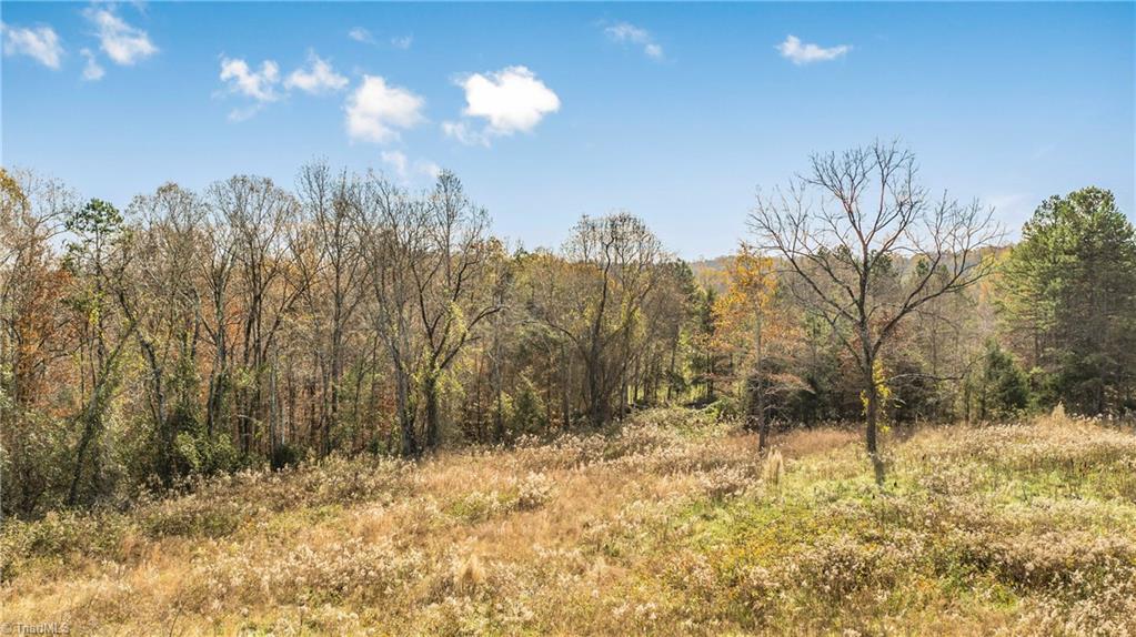 312 Fulton Road Advance, NC 27006 - Photo 18 of 36 Gallery Image 18