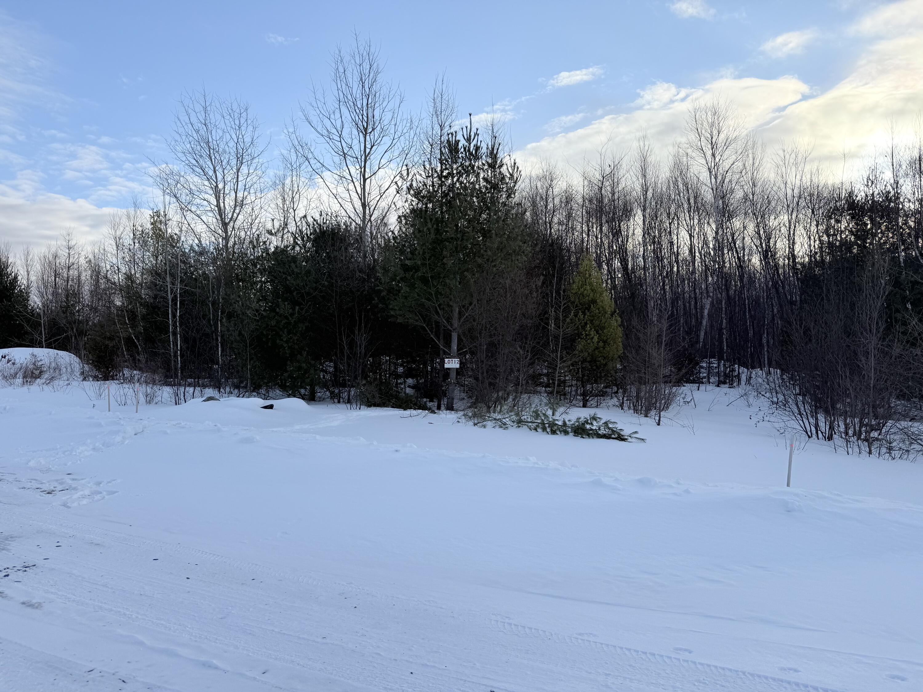 Lot #12 Greenville Steam Road Greenville, ME 04441 - Photo 2 of 8 IMG_5714