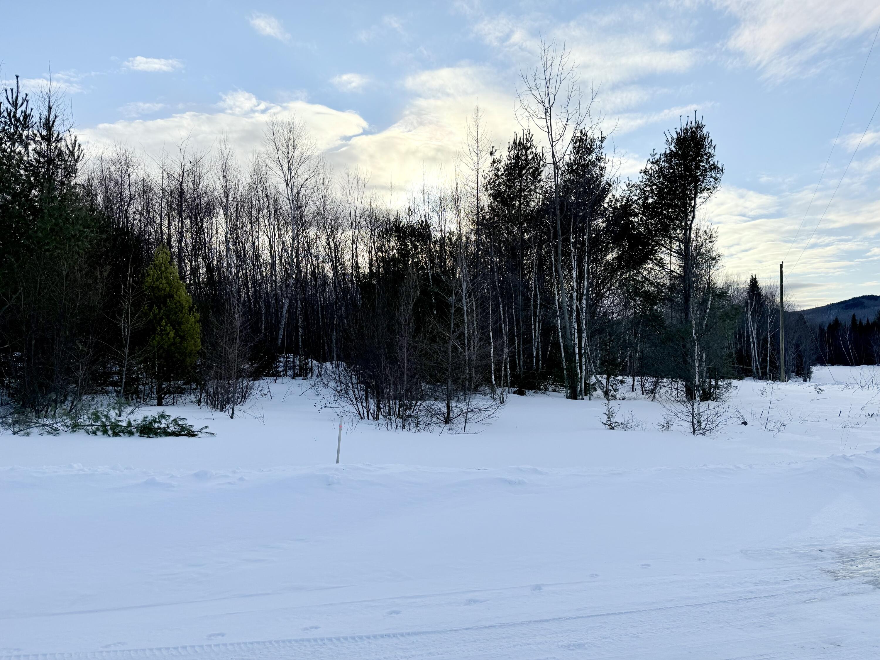 Lot #12 Greenville Steam Road Greenville, ME 04441 - Photo 3 of 8 IMG_5715