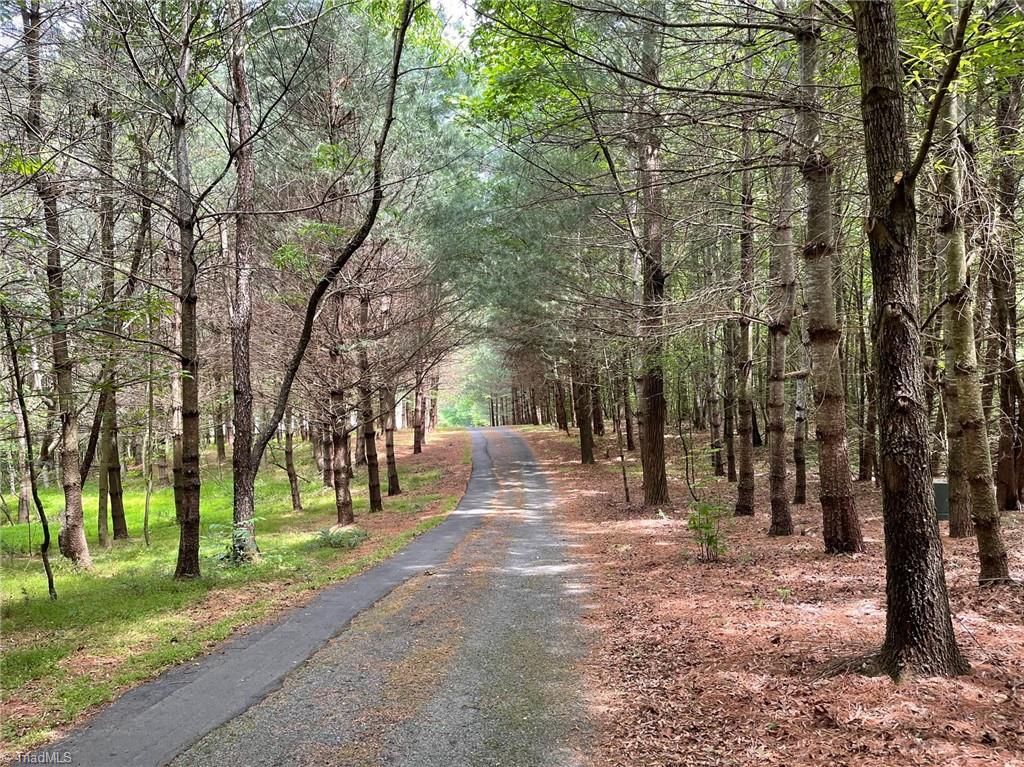 653 Little Elkin Church Road Ronda, NC 28670 - Photo 2 of 47 Canopy drive way. These woods are truly lovely, dark, and deep. Forget those promises to keep and schedule a tour today!