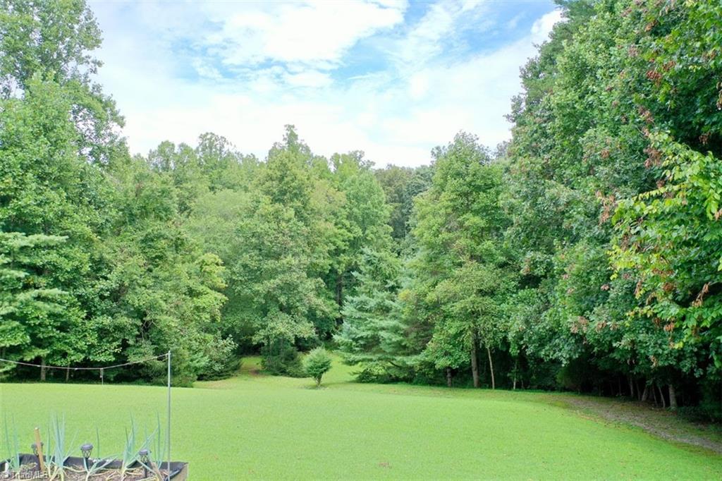 653 Little Elkin Church Road Ronda, NC 28670 - Photo 38 of 47 Back of property leading down to creek