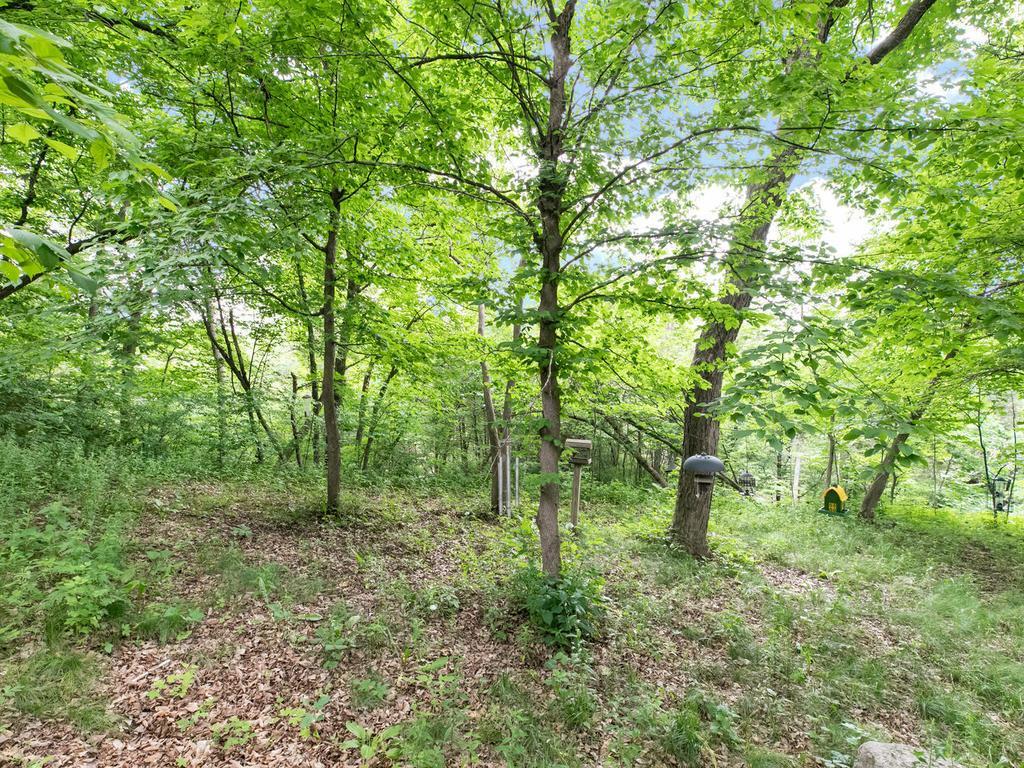 7350 Maplewood Road Cologne, MN 55322 - Photo 37 of 37 Gallery Image 37