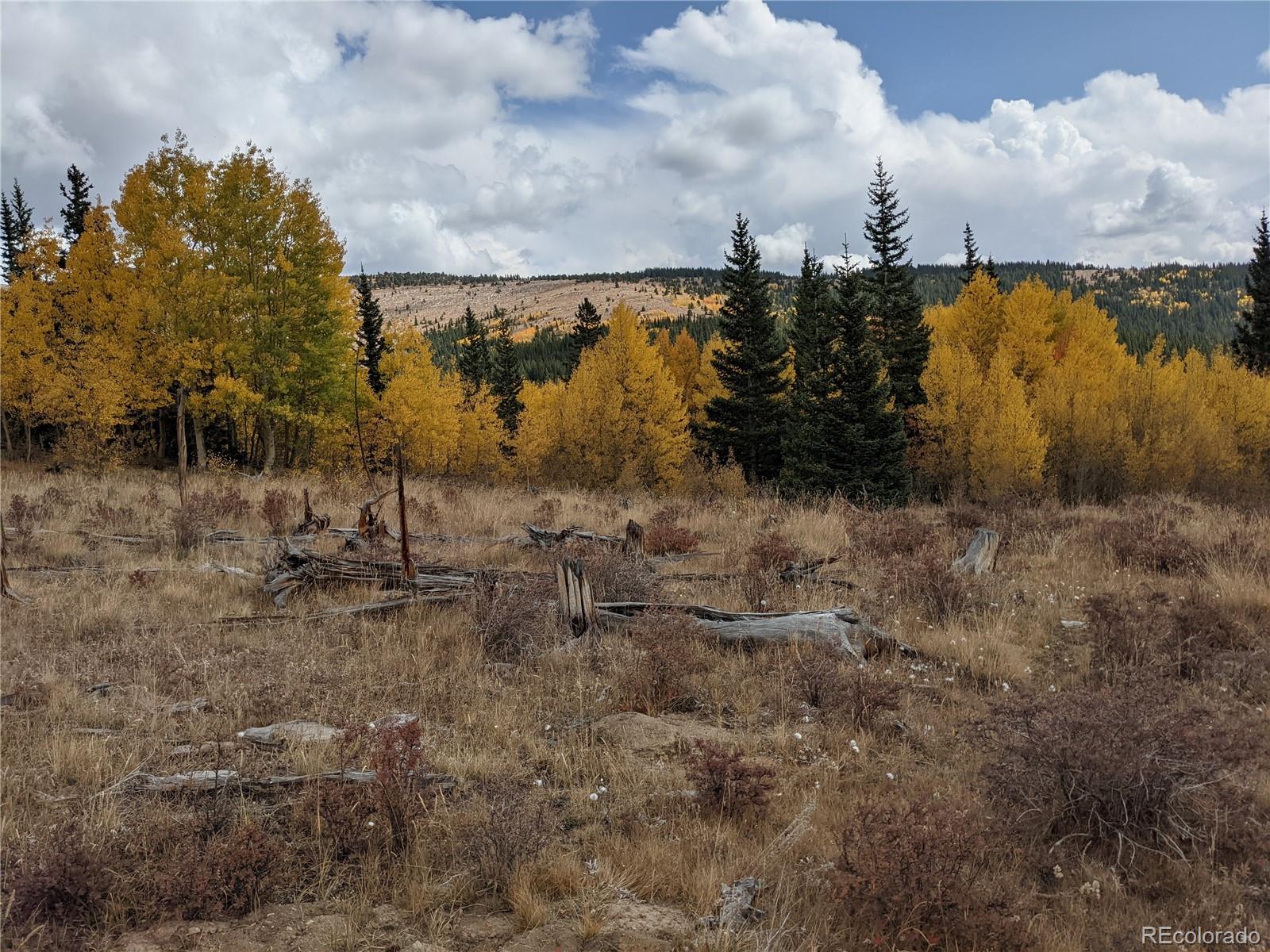 0 Snow Cap Peaks Road Fairplay, CO 80440 - Photo 15 of 20