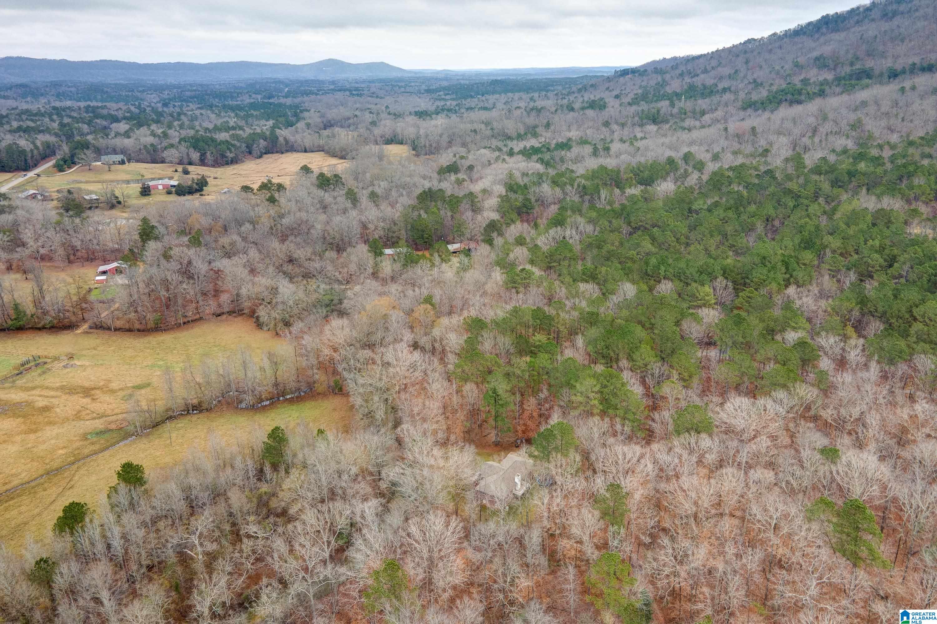 384 Moss Rock Trail Sterrett, AL 35147 - Photo 11 of 47