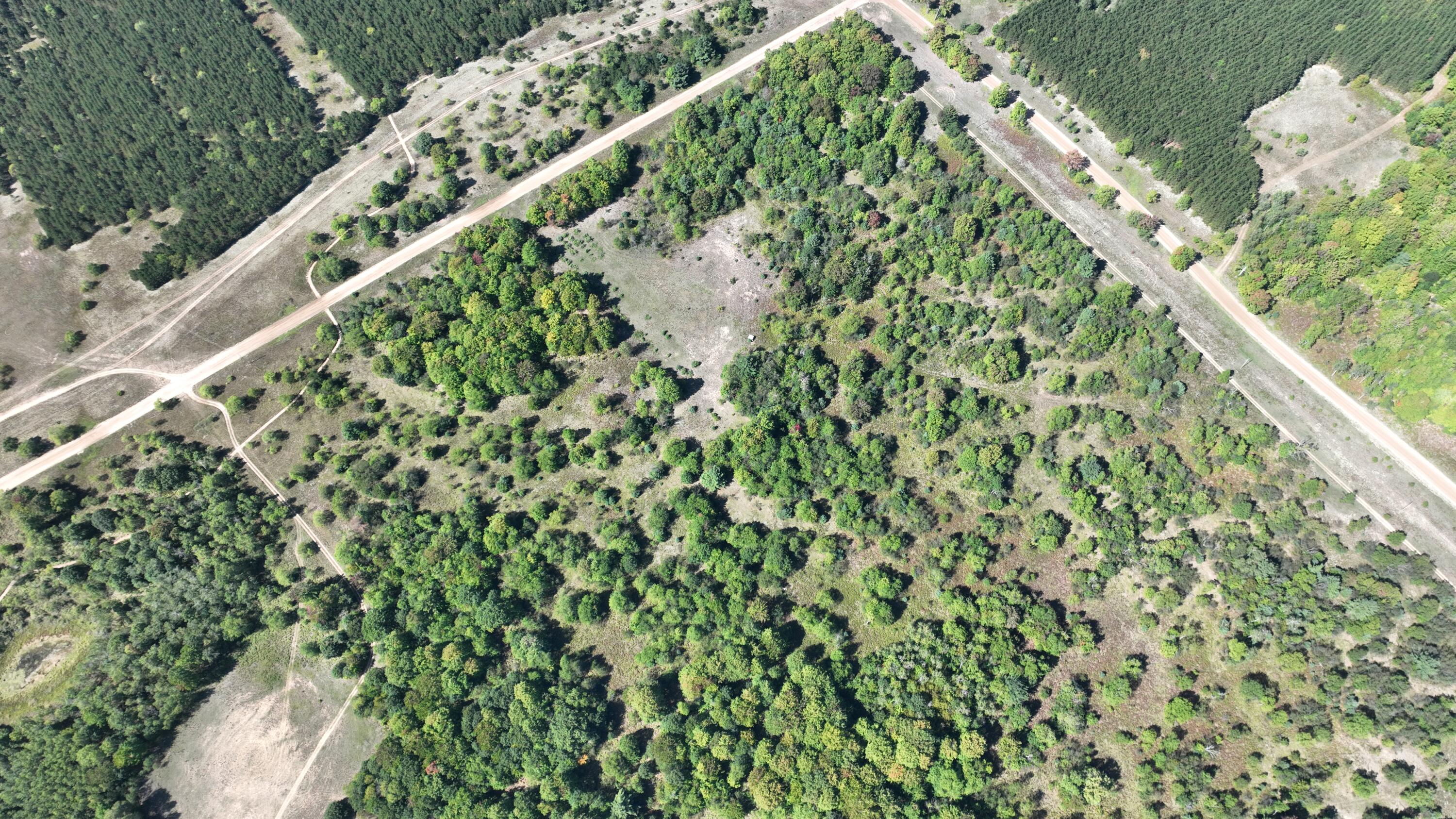 Wood Road Northeast Kalkaska, MI 49646 - Photo 8 of 14 DJI_0866