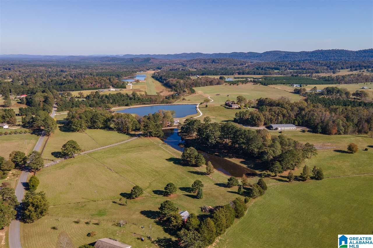 1300 Slasham Road Ashville, AL 35953 - Photo 50 of 50
