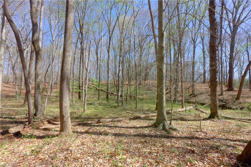 3 Alexander Farm Road Harmony, NC 28634 - Photo 10 of 27