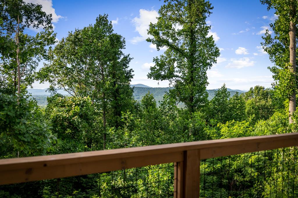 228 Winding Ridge Blairsville, GA 30512 - Photo 97 of 129