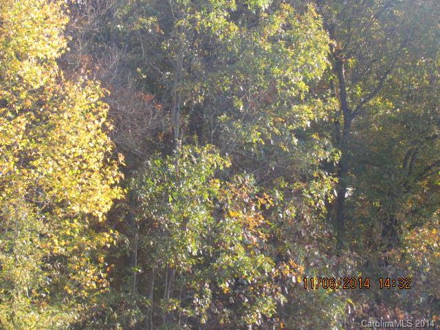 5931 Vinewood Road Davidson, NC 28036 - Photo 8 of 9 Gallery Image 8