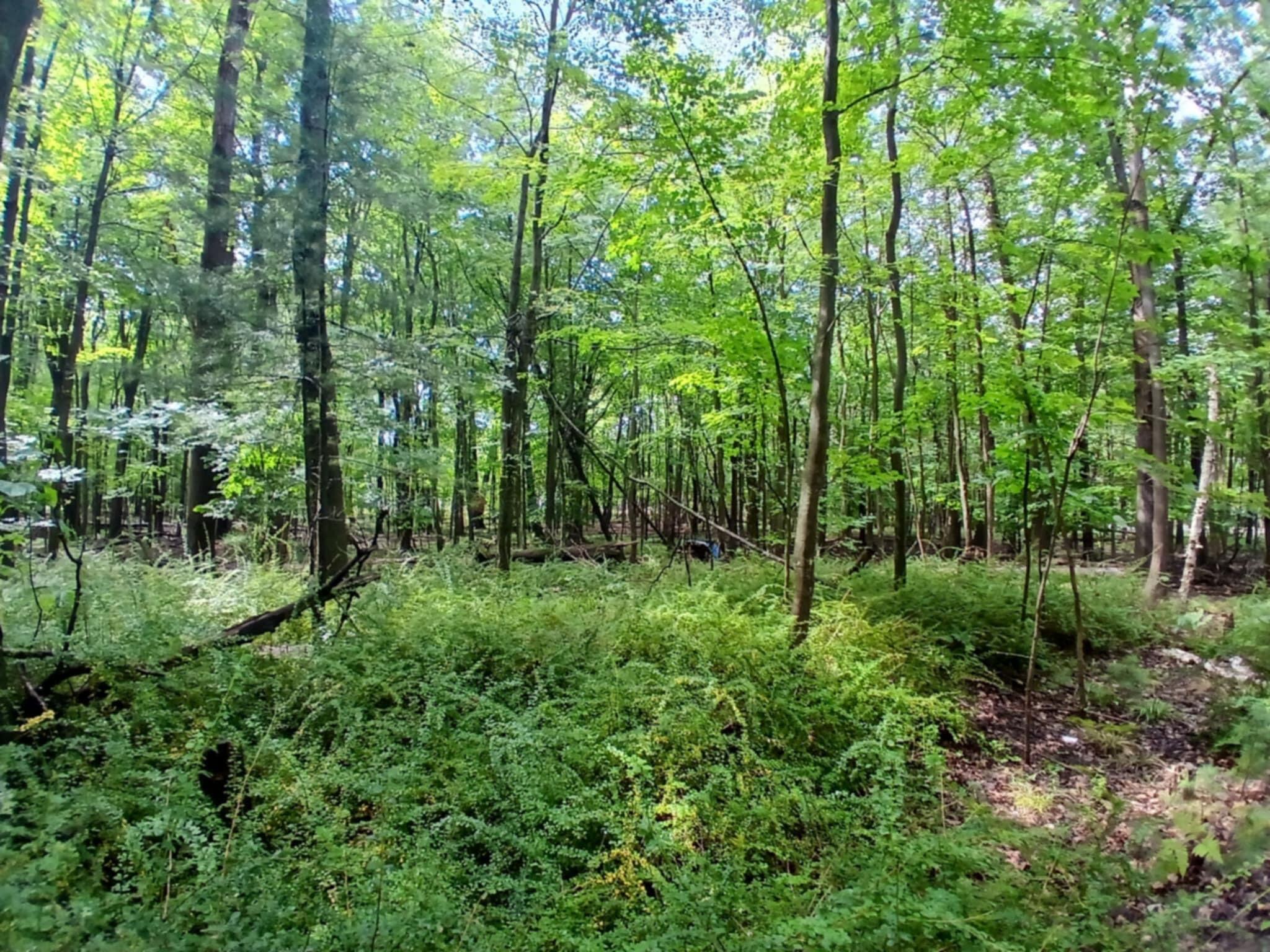 4756 North Ridge Road Mears, MI 49436 - Photo 2 of 13 c8a2acd7-e91e-4469-9c5f-0a89d7bc2415