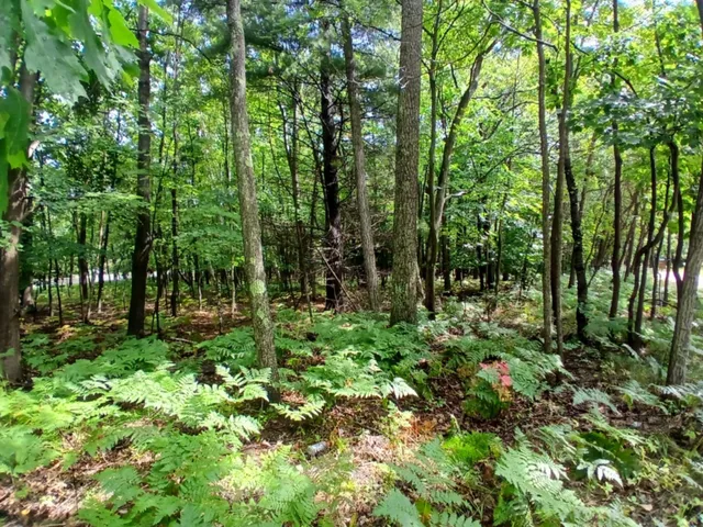 $75,000 | 4756 North Ridge Road, Mears, MI 49436