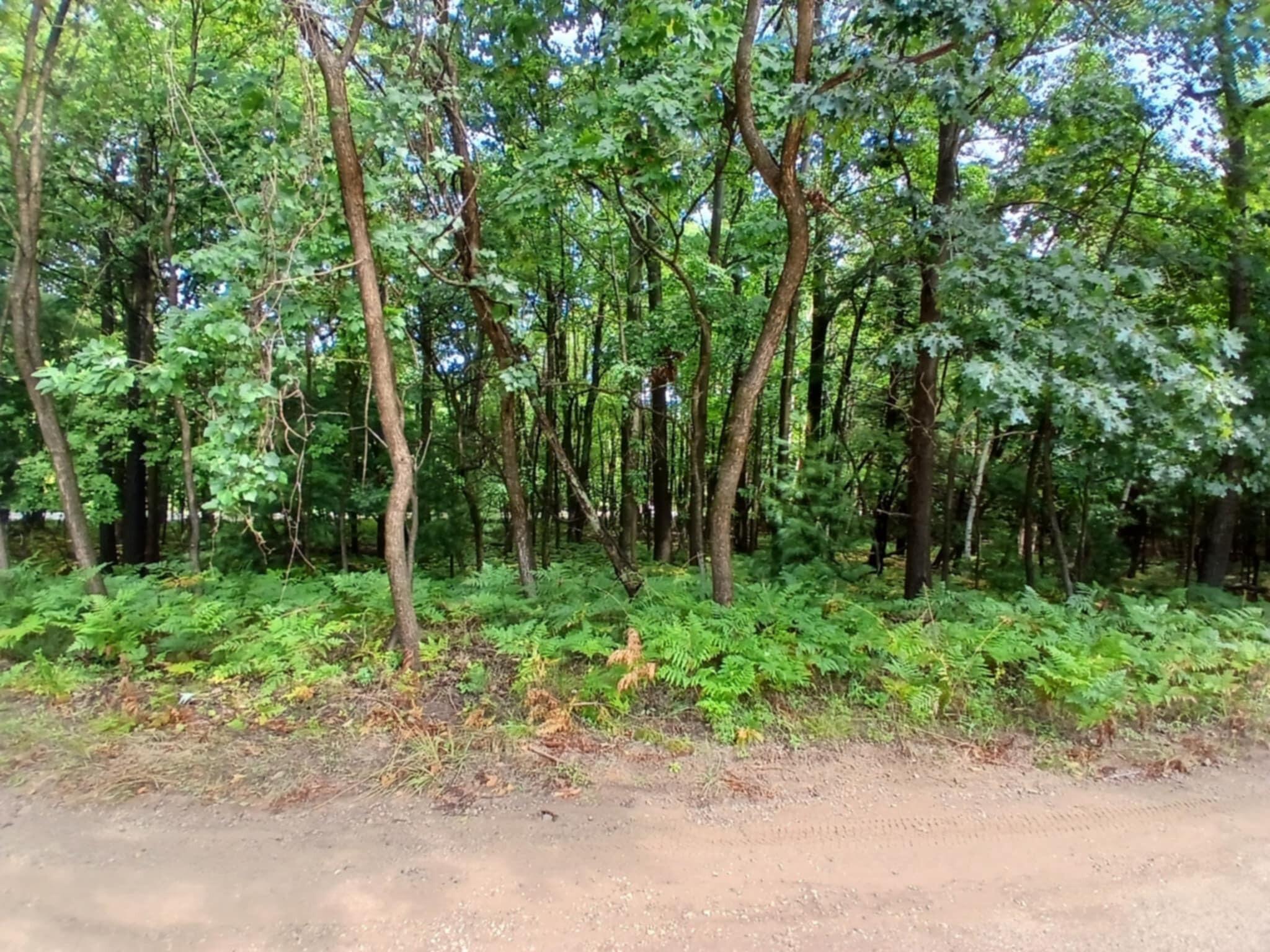 4756 North Ridge Road Mears, MI 49436 - Photo 5 of 13 46ee59e9-1d96-4c2a-b2a8-f4b2ee6d2d8d (1)