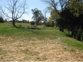 160 Springwinds Loop Johnson City, TN 37601 - Photo 4 of 24 Large Level Backyard