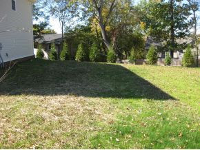 160 Springwinds Loop Johnson City, TN 37601 - Photo 5 of 24 Level Side yard