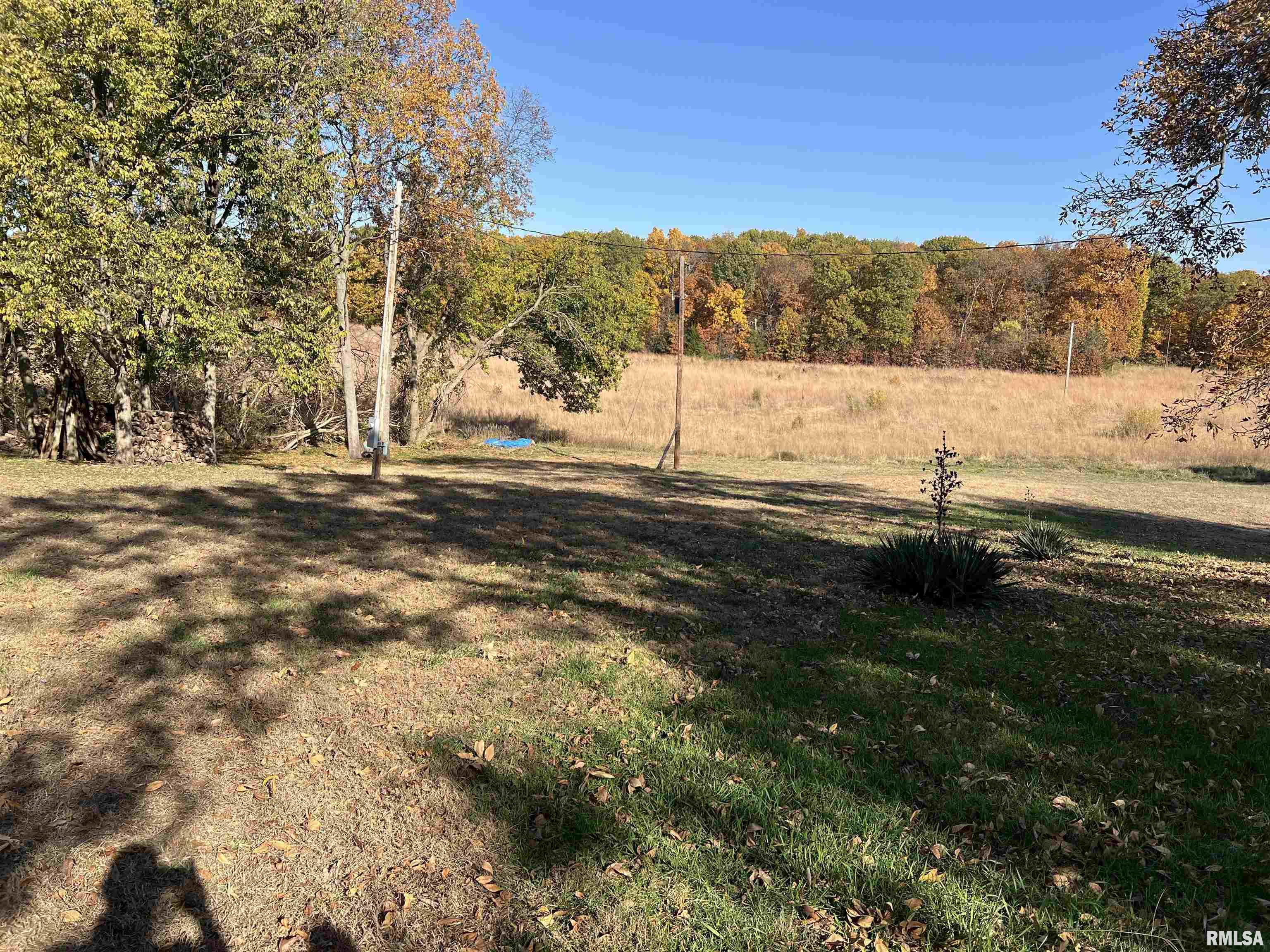 22648 Fleming Road Topeka, IL 61567 - Photo 9 of 28