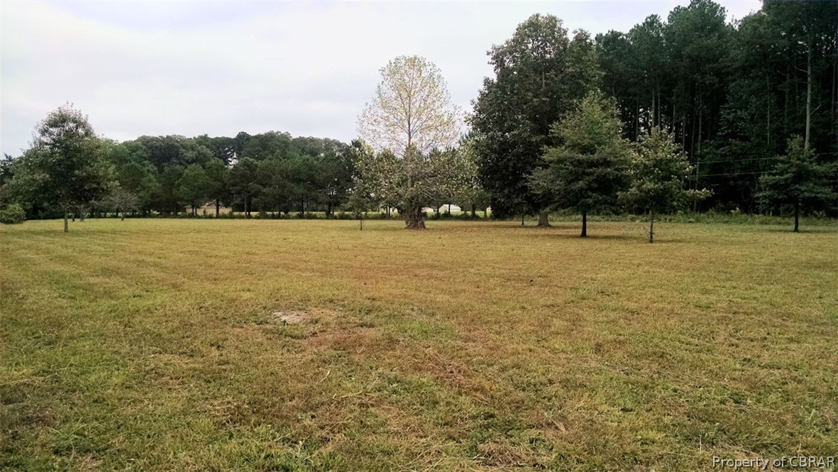 Lot 35 Chapel Neck Road North, VA 23128 - Photo 8 of 12