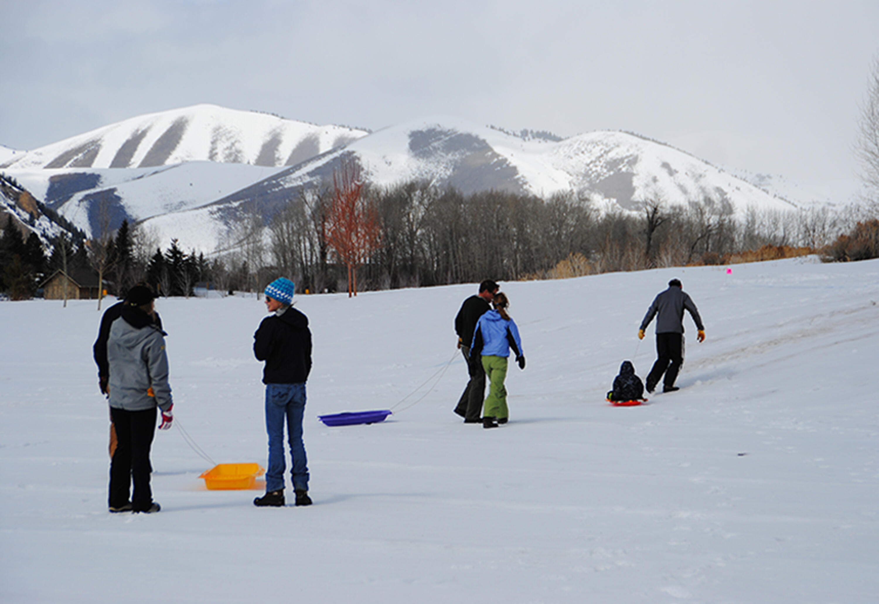 810 Myrtle Street Hailey, ID 83333 - Photo 6 of 11 Sledding Party