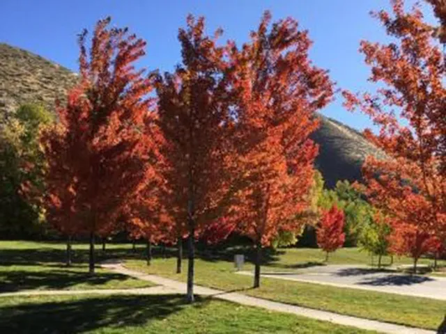 $1,195,000 | 810 Myrtle Street, Hailey, ID 83333