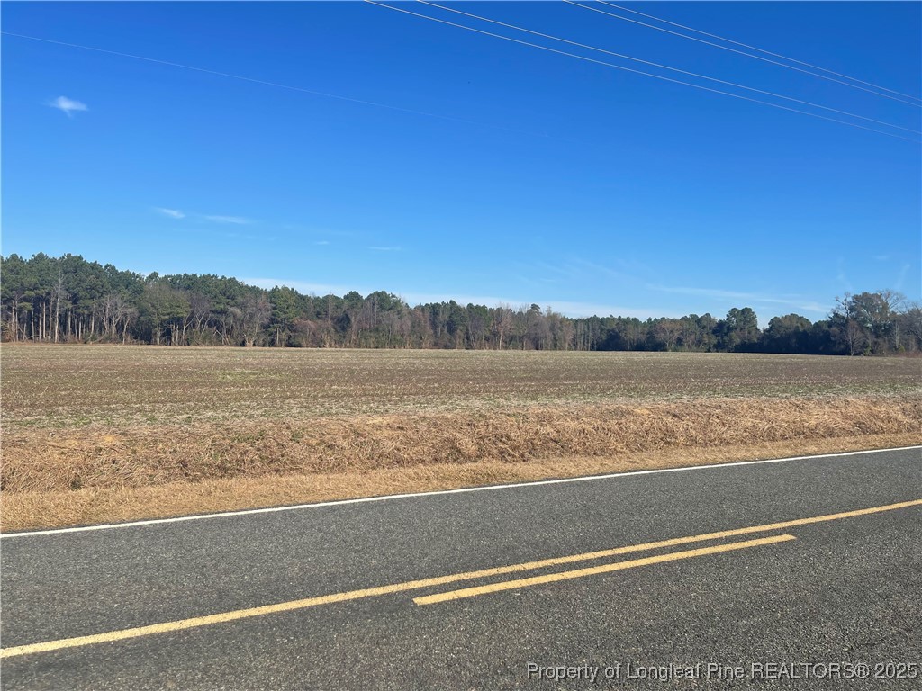 Tobacco Road Orrum, NC 28369 - Photo 2 of 2 a view of lake and mountain view