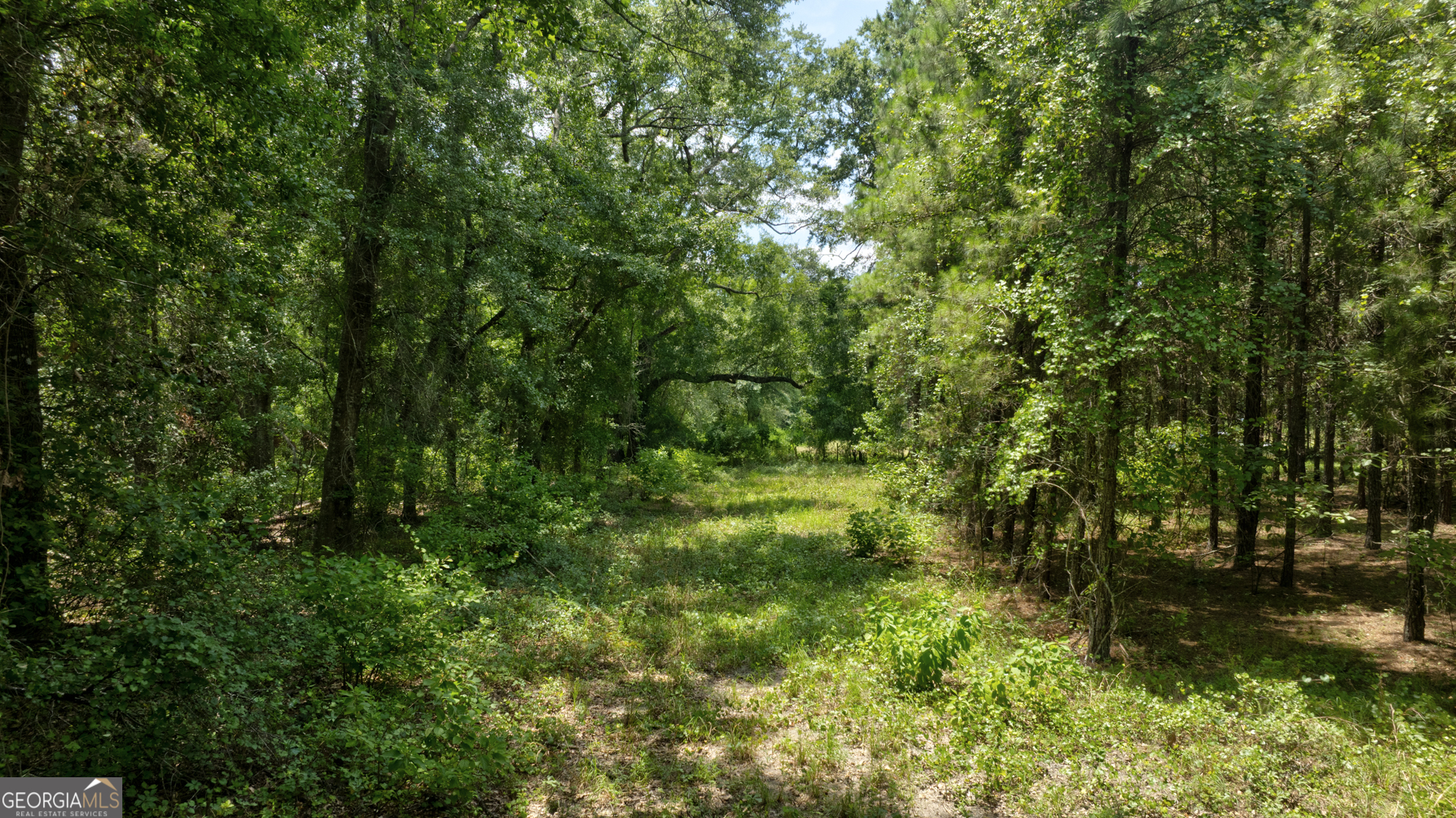 0 Sunbury Road Claxton, GA 30417 - Photo 23 of 36 Gallery Image 23