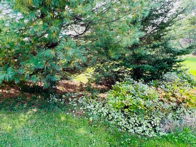 1023 Silver Lake Road Bucksport, ME 04416 - Photo 36 of 36 IMG_5891