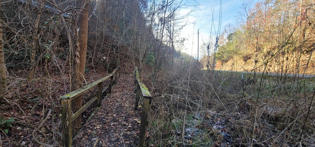 2 Wilhite Road Cosby, TN 37722 - Photo 5 of 24