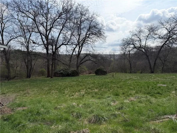 a view of backyard with green space