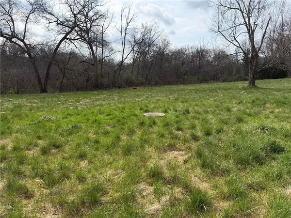 a view of a yard with an trees