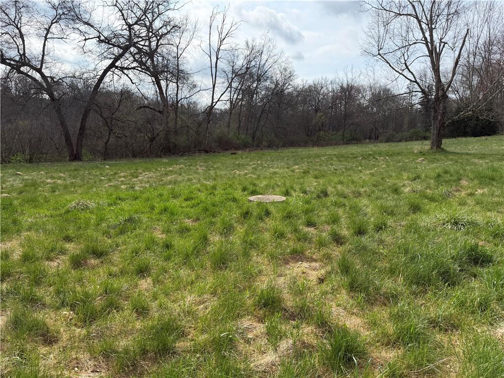 250 Pipestem Road Slippery Rock, PA 16057 - Photo 5 of 7 a view of a yard with an trees