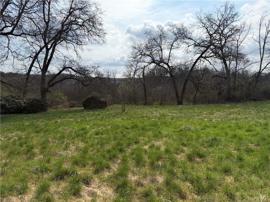 250 Pipestem Road Slippery Rock, PA 16057 - Photo 6 of 7 a view of a yard