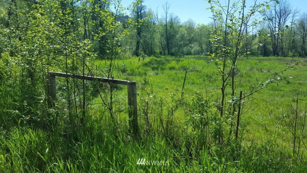 154 Johnson Road Onalaska, WA 98570 - Photo 20 of 24 Gallery Image 20