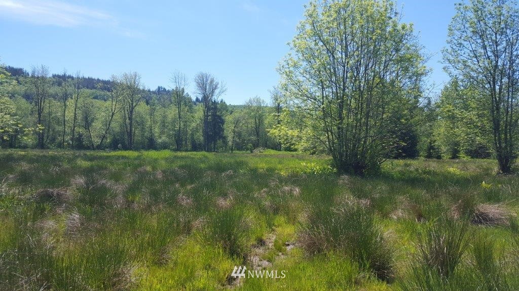 154 Johnson Road Onalaska, WA 98570 - Photo 6 of 24 Gallery Image 6
