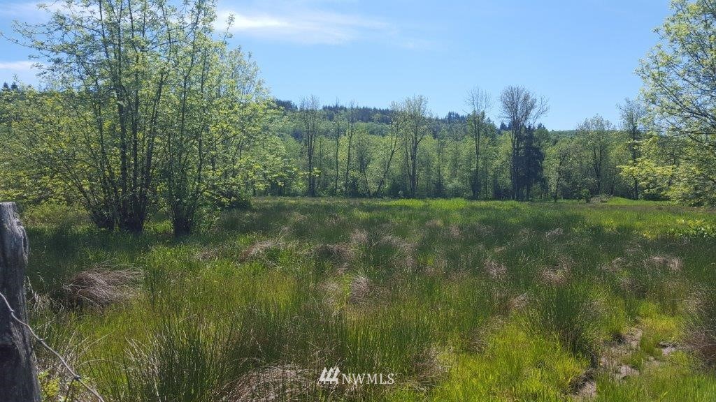 154 Johnson Road Onalaska, WA 98570 - Photo 7 of 24 Gallery Image 7